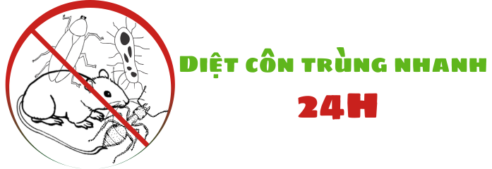 Diệt côn trùng nhanh 24h
