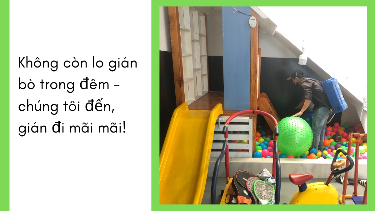 dịch vụ diệt gián tphcm