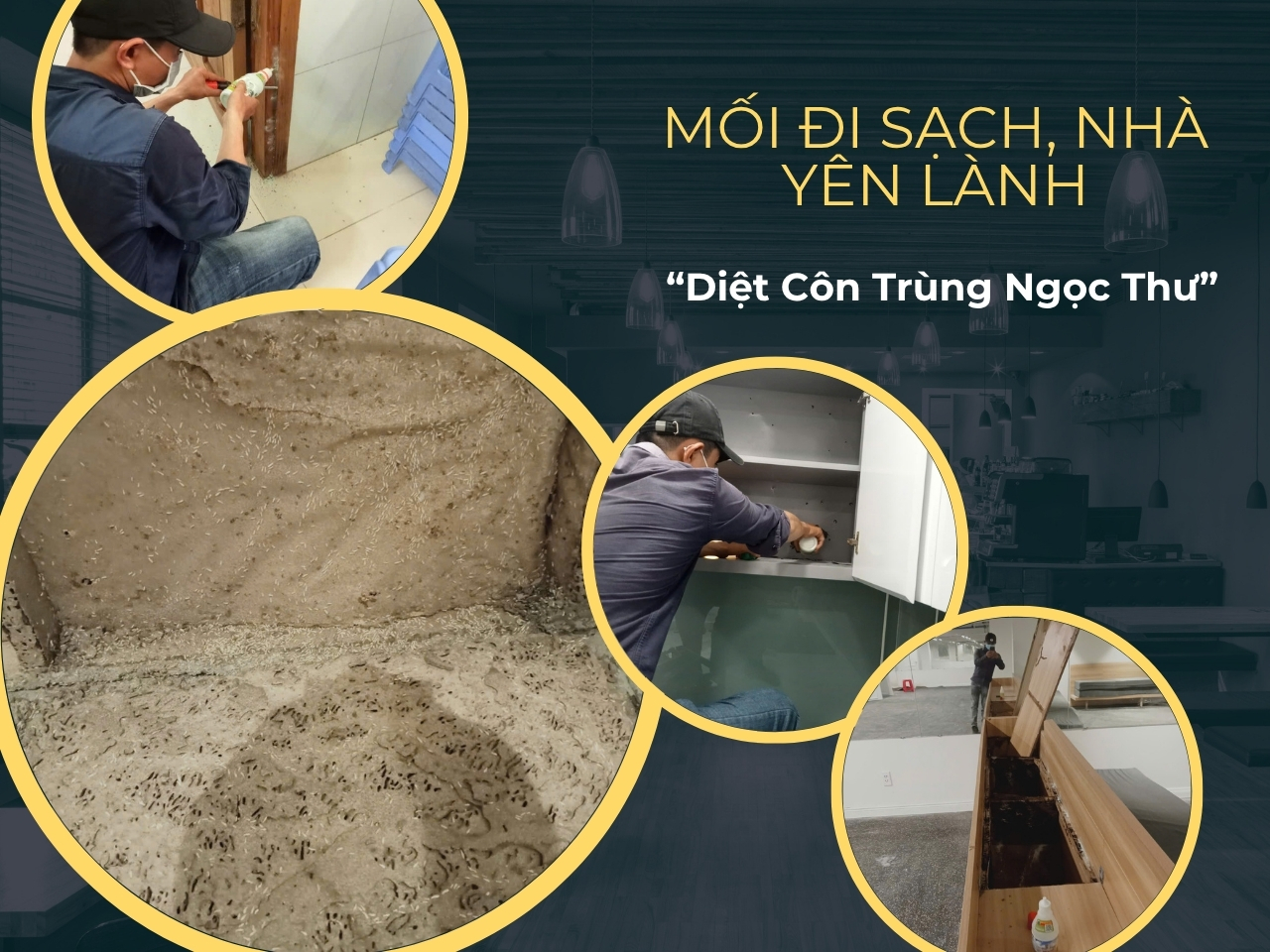 Cách diệt mối tận gốc tại nhà