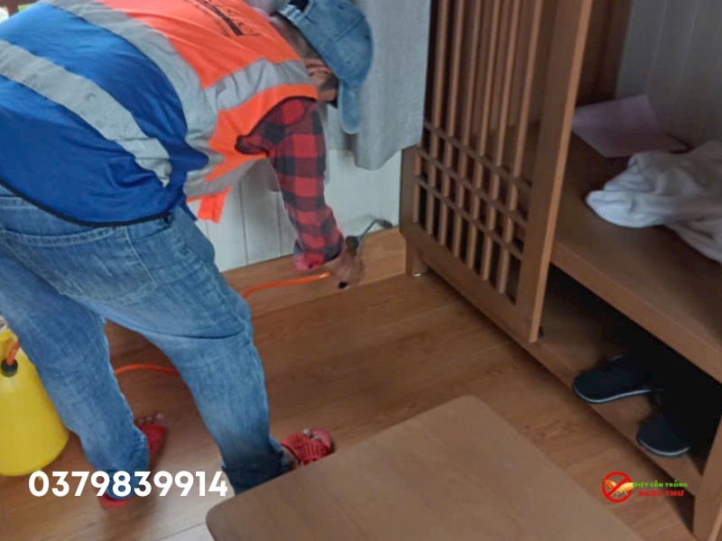 So sánh các phương pháp diệt mối tại nhà với dịch vụ diệt mối chuyên nghiệp 