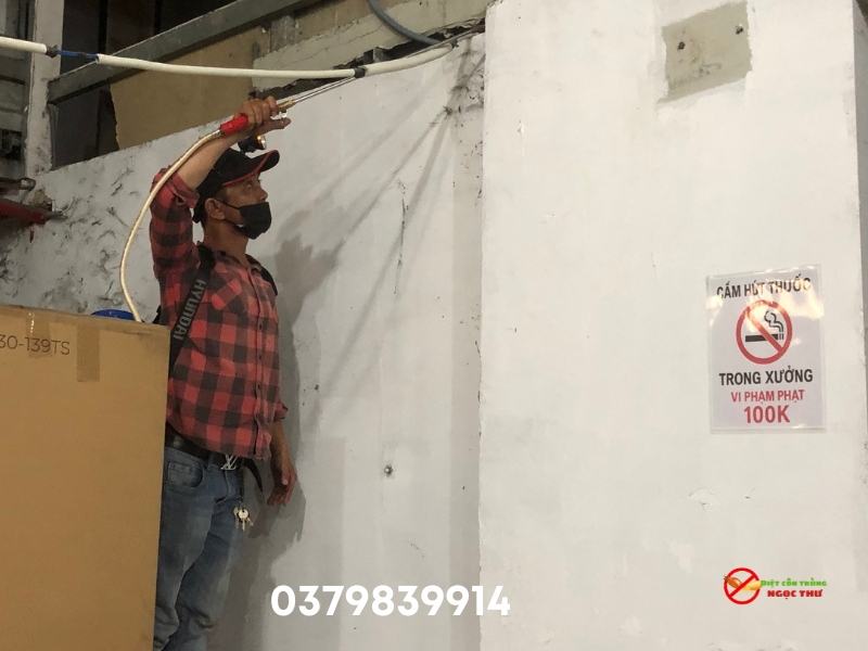 Dịch vụ diệt mối tận gốc tại nhà Ngọc Thư