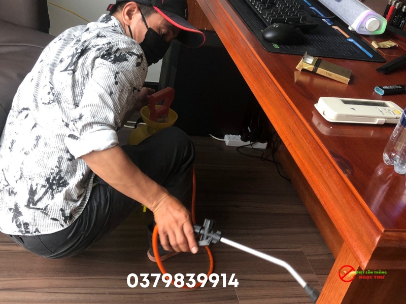 dịch vụ diệt mối tận gốc tại nhà của Ngọc Thư