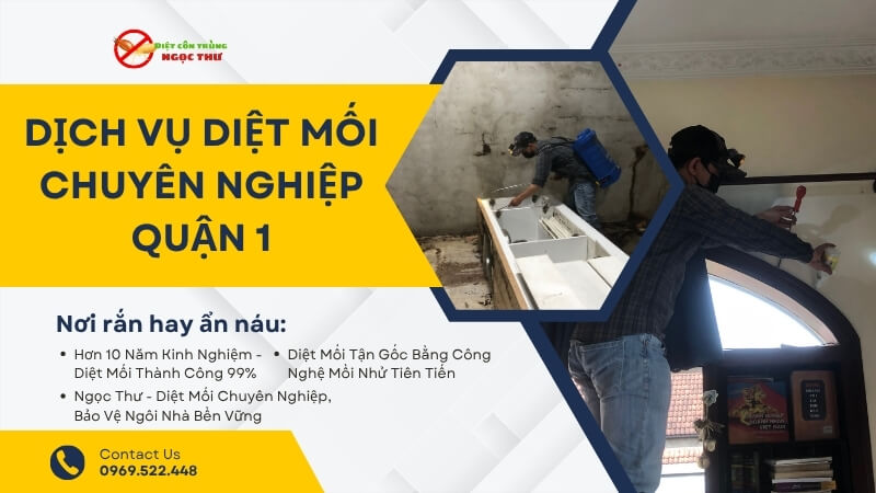 Dịch vụ diệt mối chuyên nghiệp tại quận 1 - Ngọc Thư
