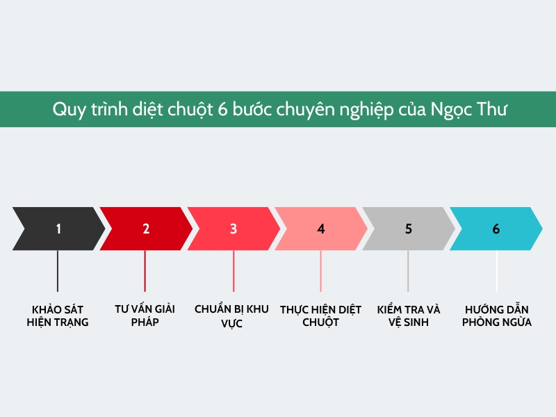Quy trình dịch vụ diệt chuột quận 1 của Ngọc Thư