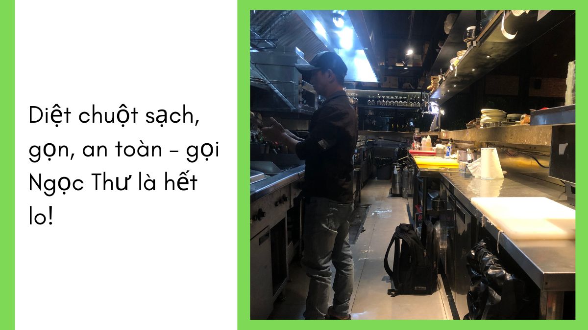 DỊCH VỤ DIỆT CHUỘT TPHCM 【24/7】 34 Công ty diệt chuột tphcm uy tín