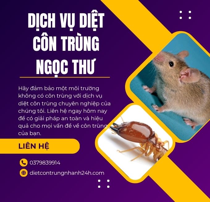 Trang chủ 37 Dịch vụ diệt côn trùng Ngọc Thư