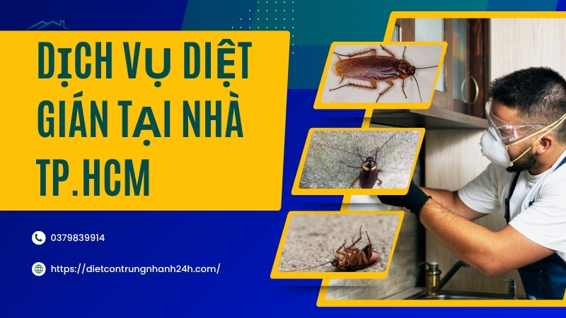 Dịch Vụ Diệt Gián Tại Nhà TPHCM - Bảng Giá Chi Tiết 1 Dịch Vụ Diệt Gián Tại Nhà TPHCM