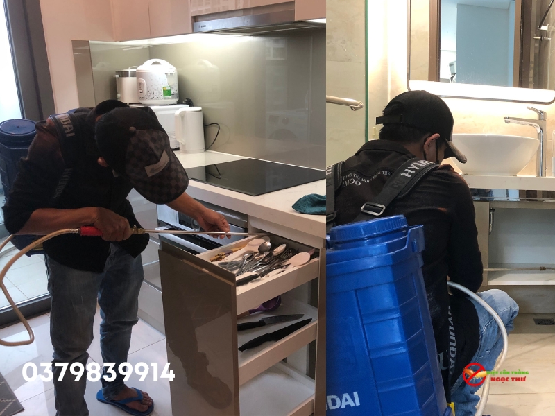 Dịch Vụ Diệt Gián Tại Nhà TPHCM - Bảng Giá Chi Tiết 4 Dịch vụ diệt gián tại nhà TPHCM. diệt gián tận gốc