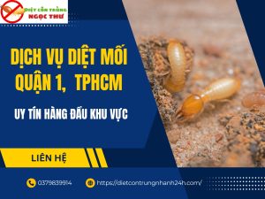 Dịch vụ diệt mối quận 1