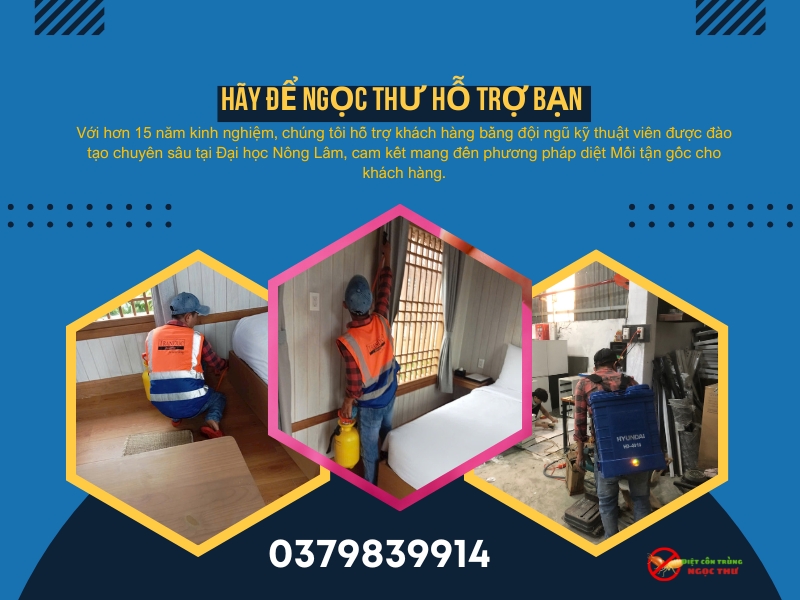 Lợi ích khi sử dụng dịch vụ diệt mối quận 1 của Ngọc thư