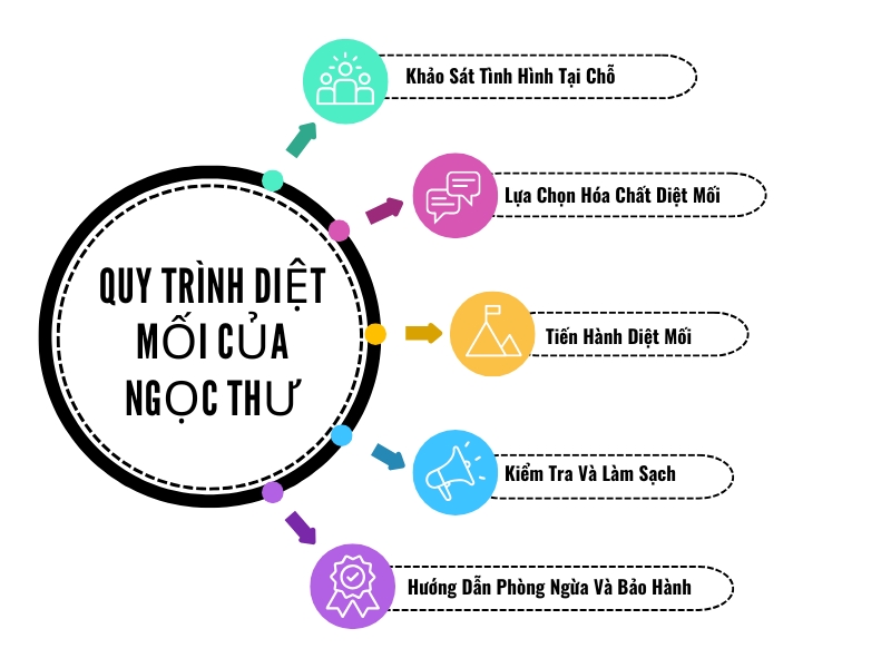 Quy trình dịch vụ diệt mối quận 1 của Ngọc Thư