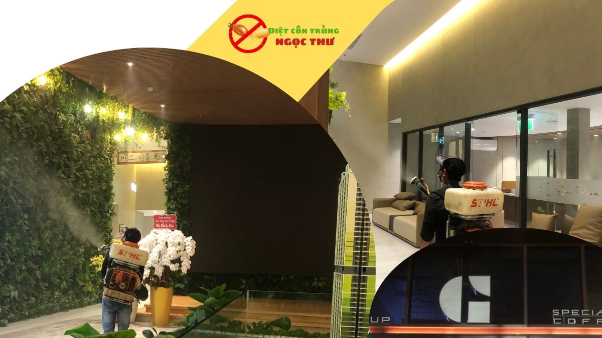 Dịch vụ phun thuốc diệt muỗi tại tphcm