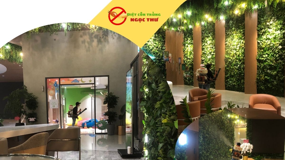 Dịch vụ phun thuốc diệt muỗi tphcm