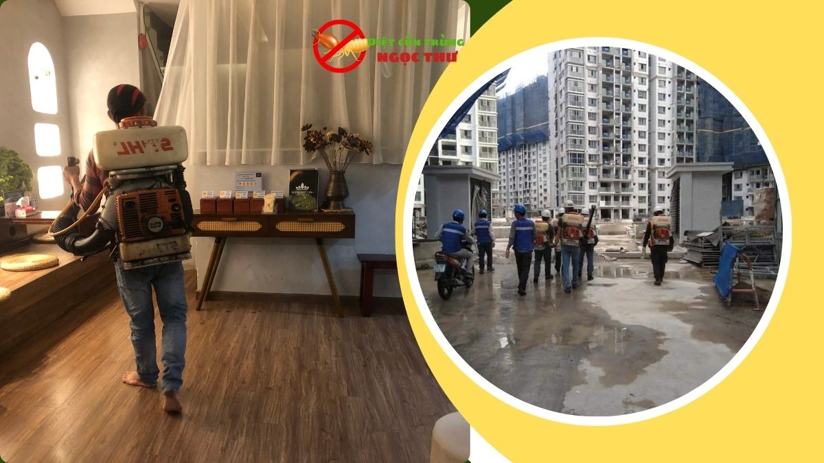 Phun Thuốc Diệt Muỗi Tại TPHCM