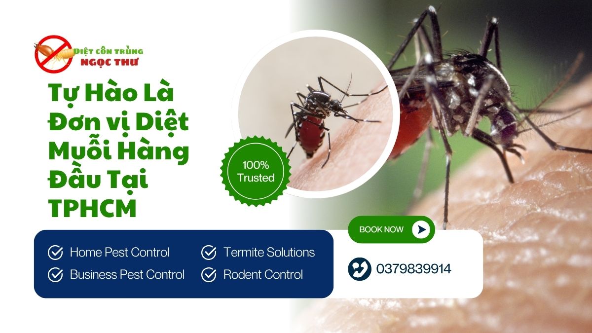 Phun Thuốc Diệt Muỗi Tại TPHCM Gía Rẻ