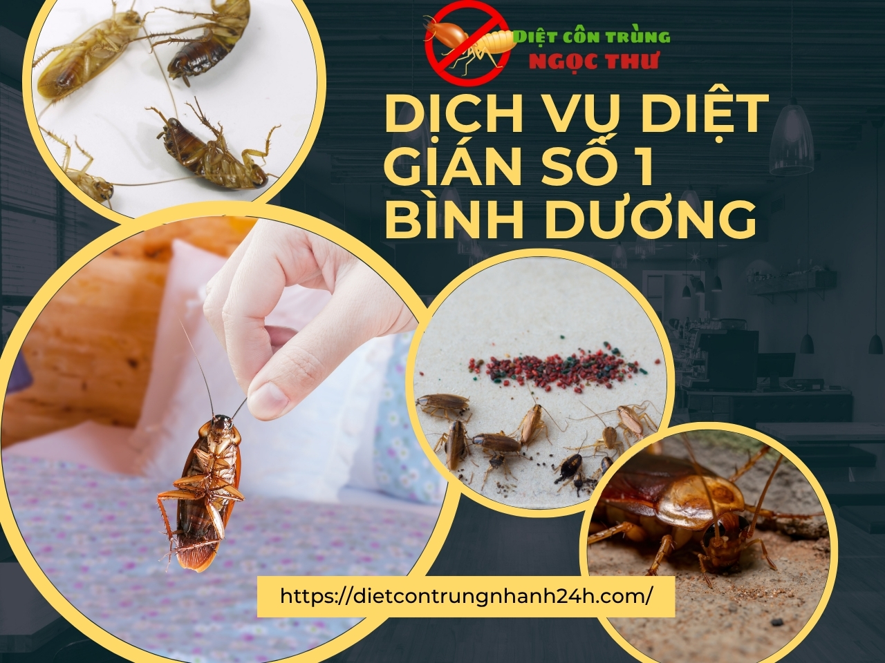Diệt gián bình dương
