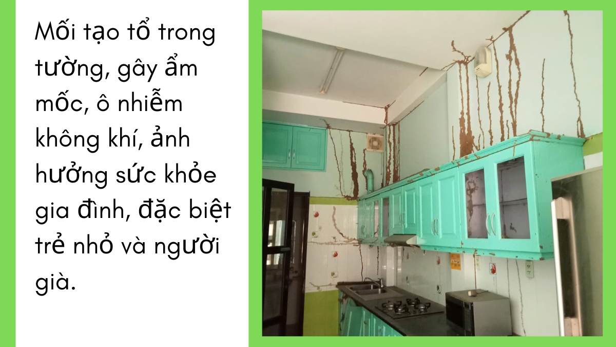 Diệt mối bình dương