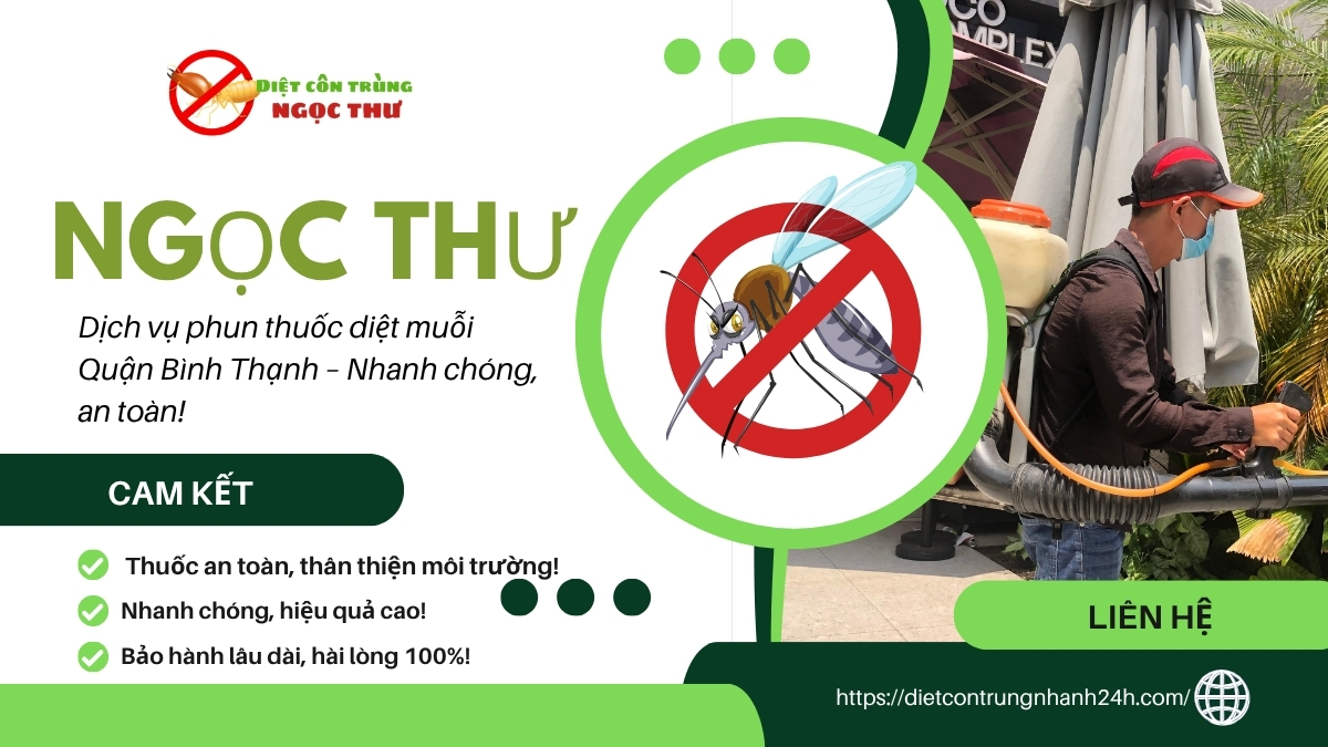 Phun thuốc diệt muỗi quận bình thạnh an toàn
