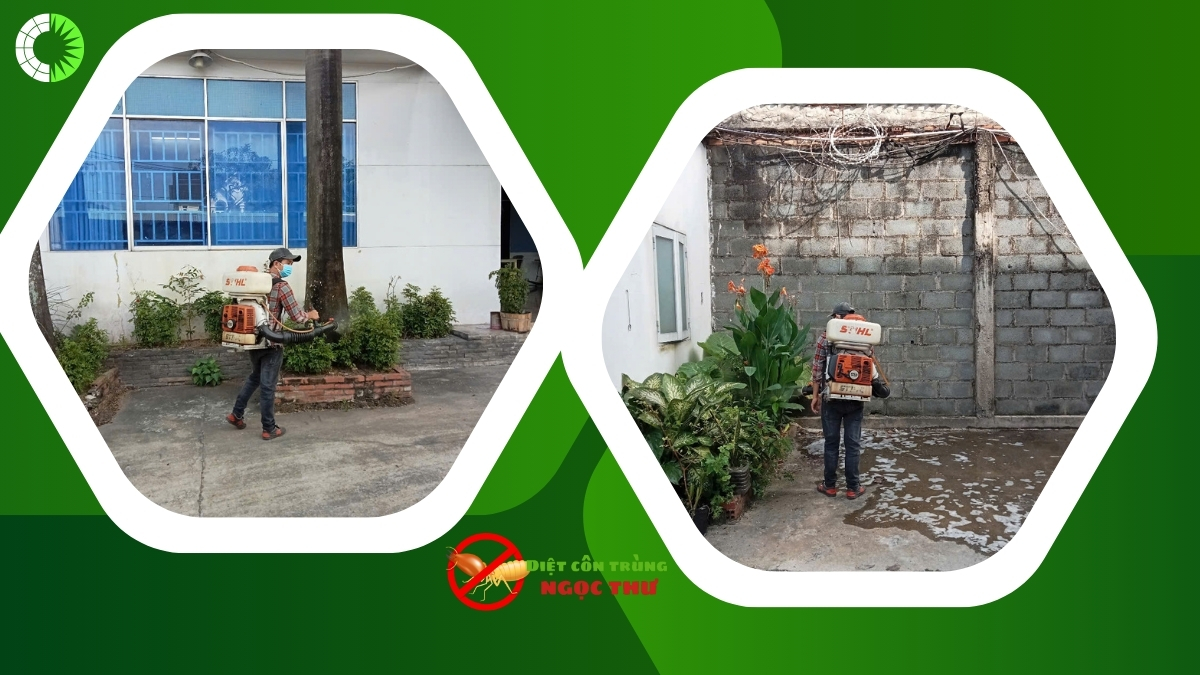 Phun thuốc diệt muỗi quận bình thạnh 