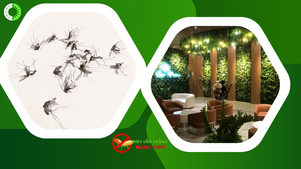 dịch vụ Phun thuốc diệt muỗi quận bình thạnh 