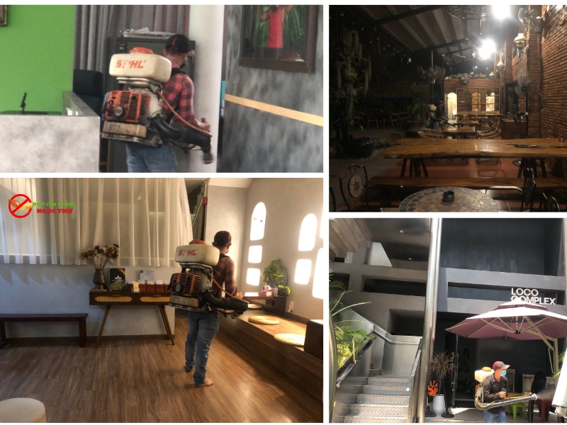 Phun thuốc diệt muỗi quận Bình Thạnh giá rẻ