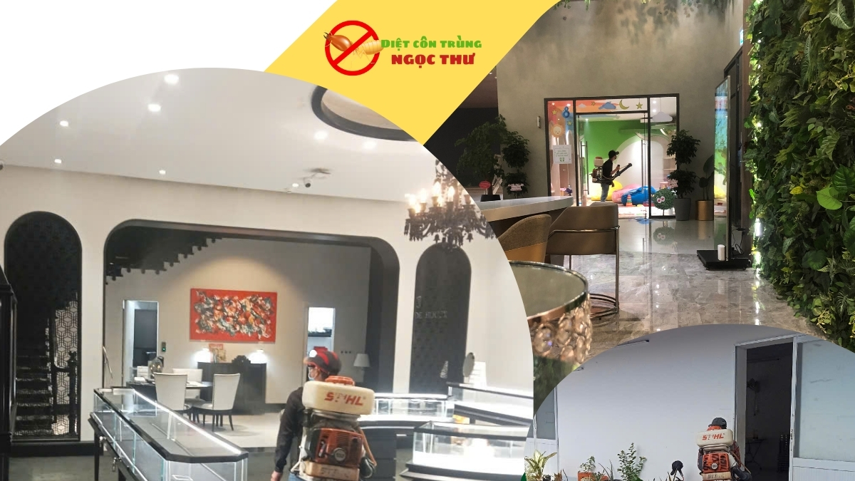 Phun thuốc muỗi bình dương