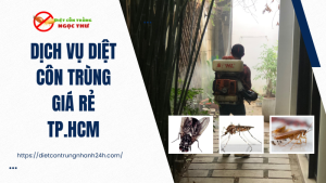 Dịch vụ diệt côn trùng giá rẻ tphcm
