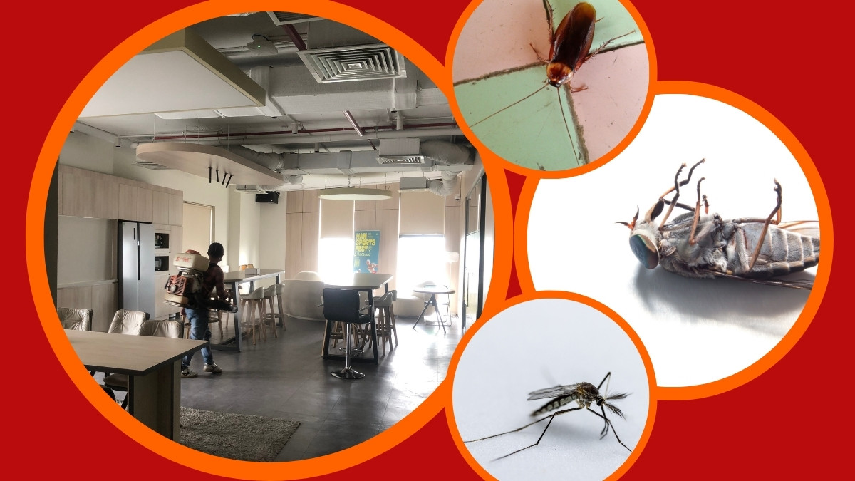 Dịch Vụ Diệt Côn Trùng Giá Rẻ TPHCM 2 công ty diệt côn trùng giá rẻ tphcm