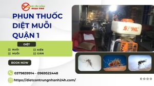 Phun thuốc diệt muỗi quận 1