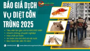 Báo giá dịch vụ diệt côn trùng 2025