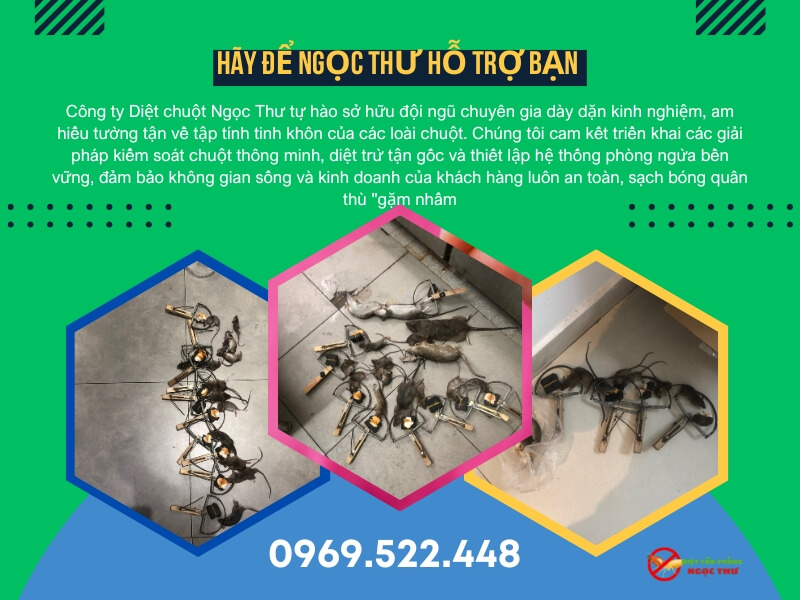 Công Ty Diệt Chuột Chuyên Nghiệp Năm 2026 4 Công ty diệt chuột uy tín và chuyên nghiệp Ngọc Thư luôn mang đến phương pháp diệt chuột hiệu quả