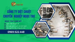 Công ty diệt chuột chuyên nghiệp Ngọc Thư