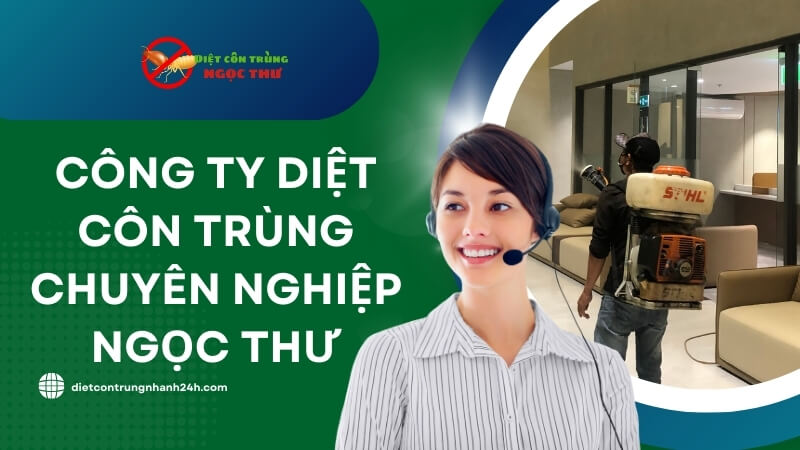 Công ty diệt côn trùng chuyên nghiệp Ngọc Thư