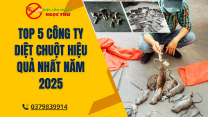 Công ty diệt chuột uy tín