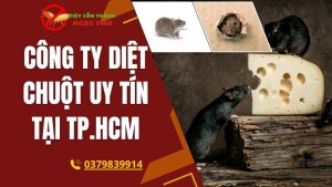 Công ty diệt chuột uy tín tại tphcm
