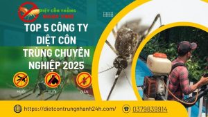Top 5 công ty diệt côn trùng chuyên nghiệp 2025