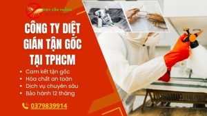 Công ty diệt gián tận gốc tại nhà