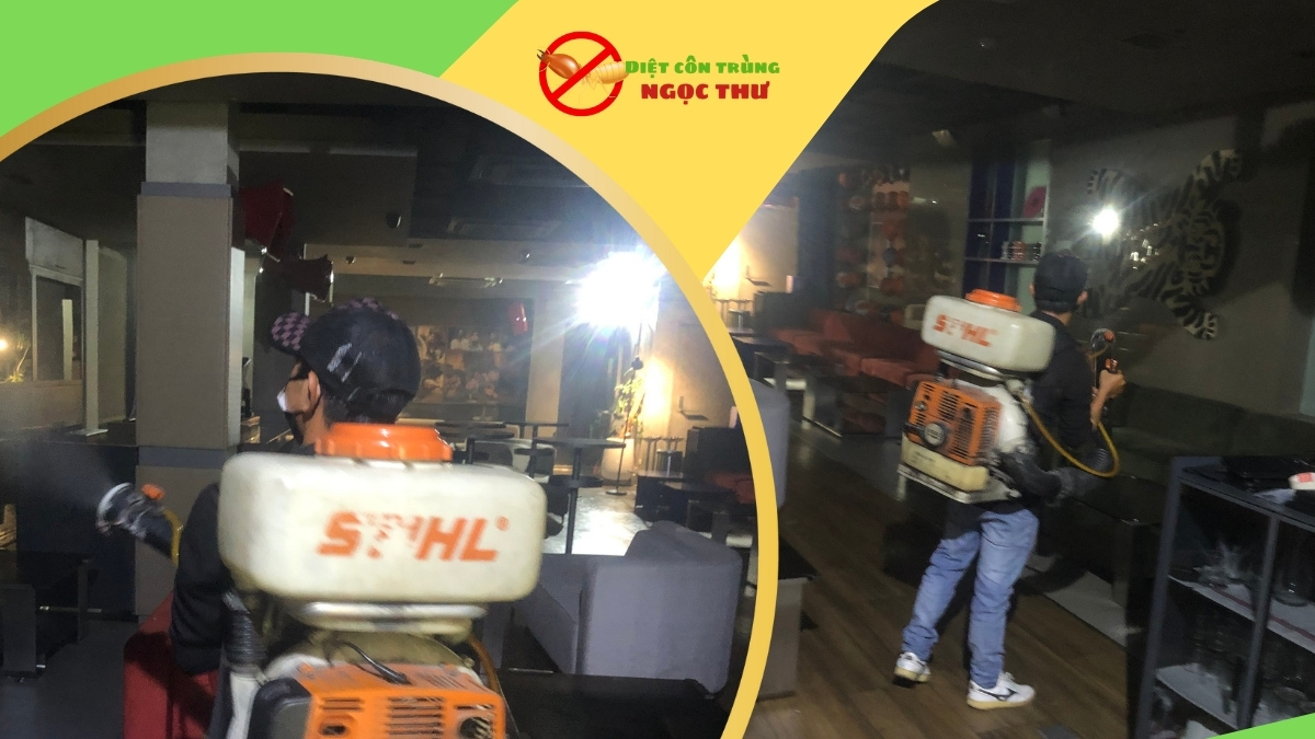 Top 5 công ty diệt muỗi uy tín nhất tại tp.hcm