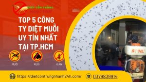 Top 5 công ty diệt muỗi uy tín nhất tại tphcm