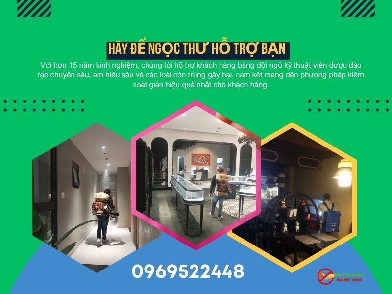 Dịch vụ diệt gián quận 3 Ngọc Thư