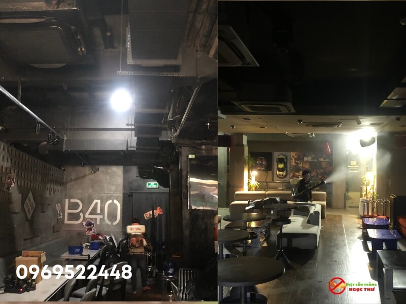 Dịch vụ diệt gián tận gốc Ngọc Thư