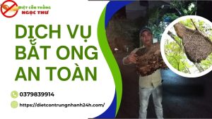 Dịch vụ bắt tổ ong
