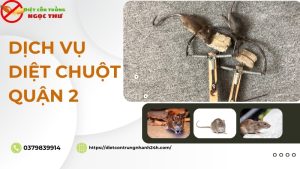 Dịch vụ diệt chuột quận 2