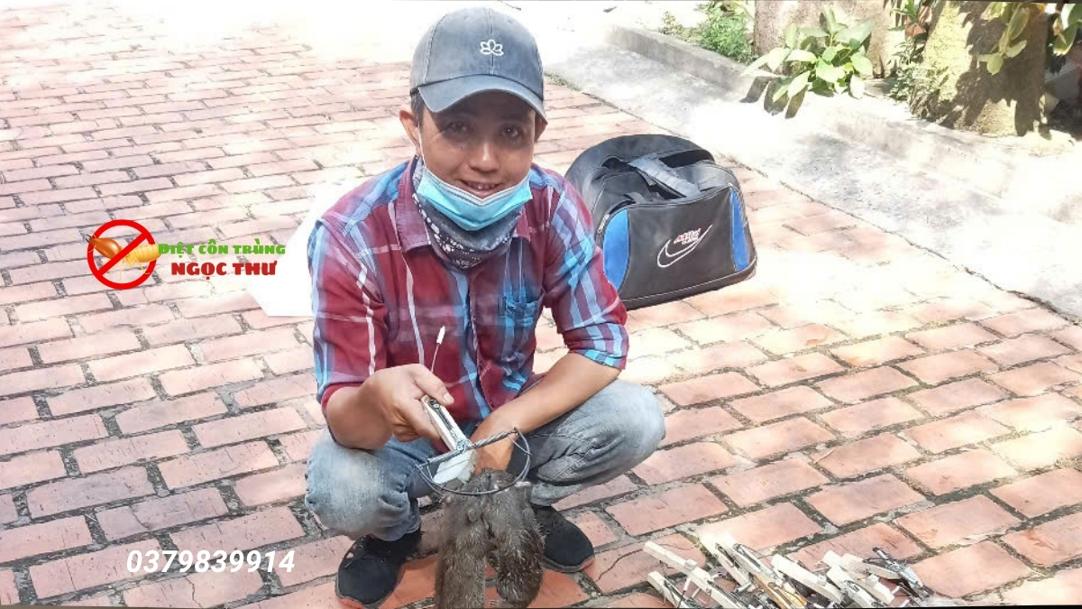 Dịch Vụ Diệt Chuột Tận Gốc Tại Bình Dương - Chuyên Nghiệp, Uy Tín 1 Dịch vụ diệt chuột tận gốc tại bình dương