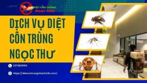 Dịch vụ diệt côn trùng