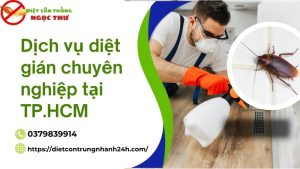 Dịch vụ diệt gián chuyên nghiệp tphcm