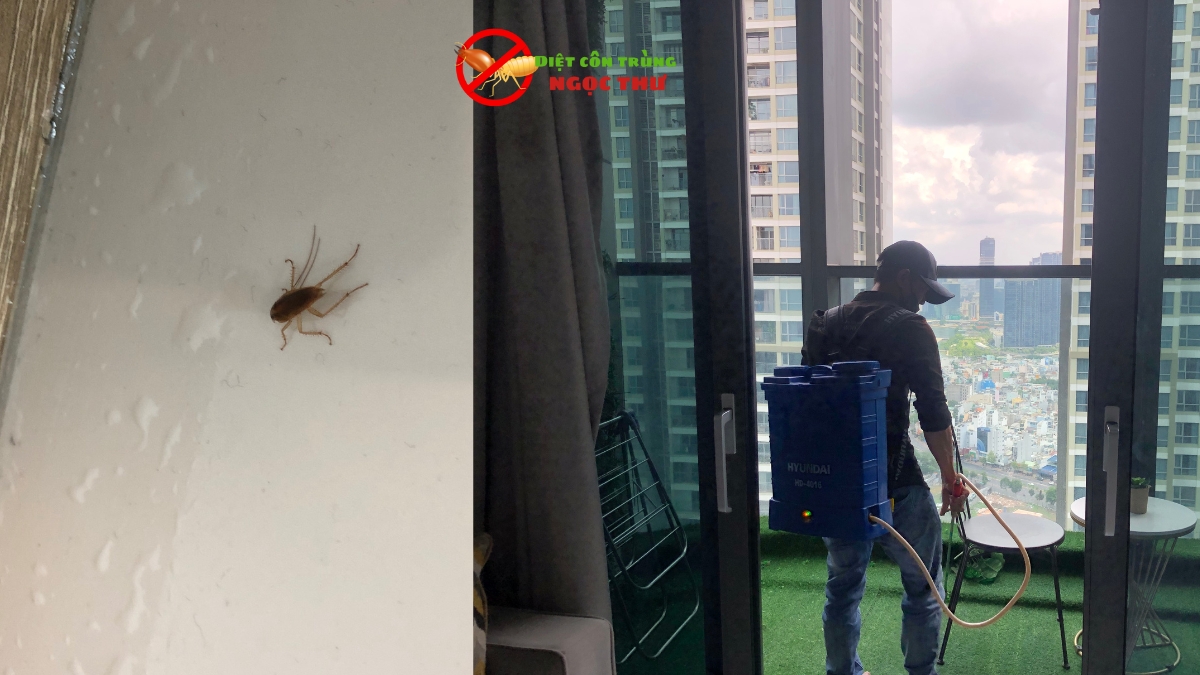 Dịch vụ diệt gián đức chung cư