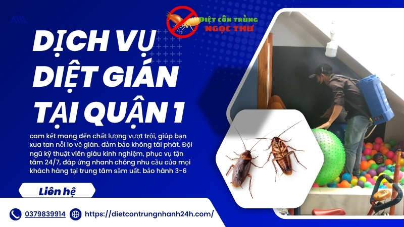 Dịch Vụ Diệt Gián Quận 1: An Toàn - Tận Gốc 1 Dịch vụ diệt gián quận 1: An toàn, tận gốc - Ngọc Thư