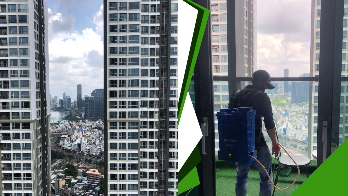 Dịch vụ diệt gián tận gốc tphcm 