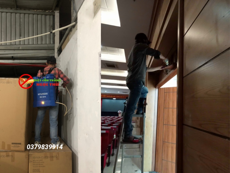 Dịch vụ diệt mối tận gốc tại tphcm ngọc thư